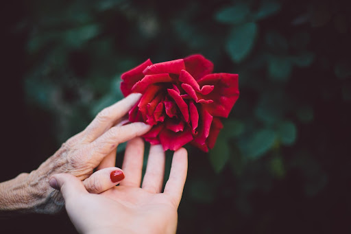 hand with red flower a featured image of a blog post how to help your senior loved one cope with the loss of their spouse