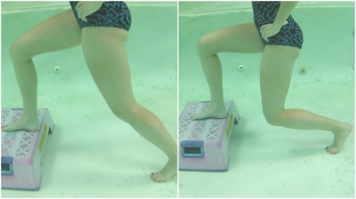 2 Lunge on Step 2 Lunge on Step