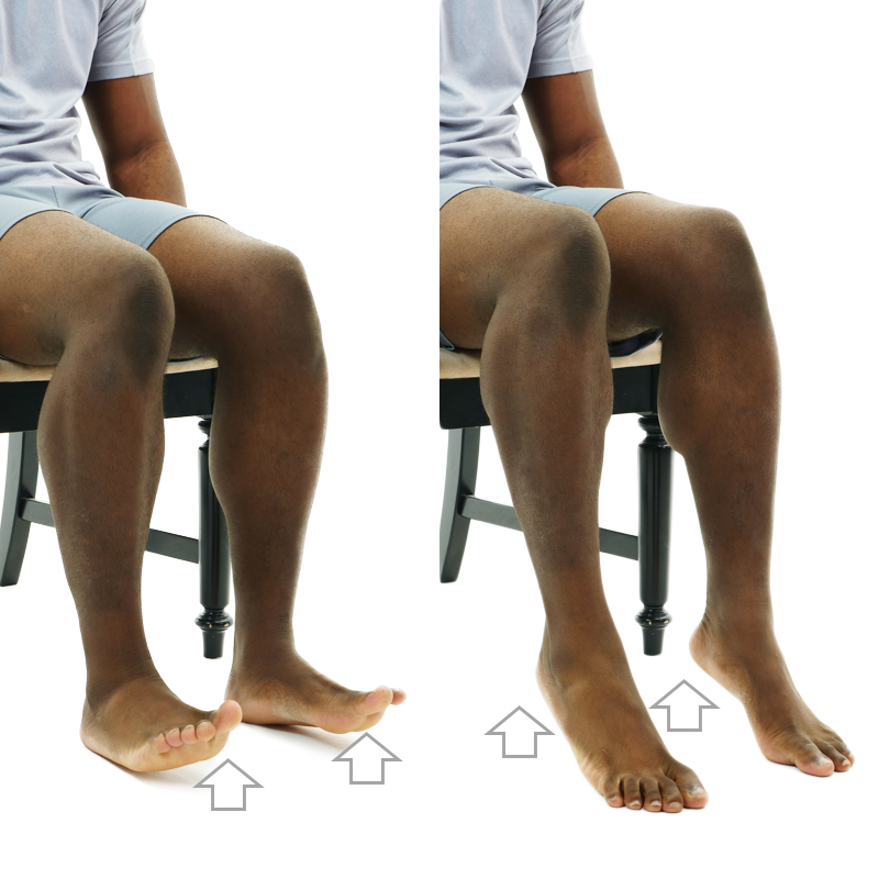 Seated Ankle Pumps Exercise