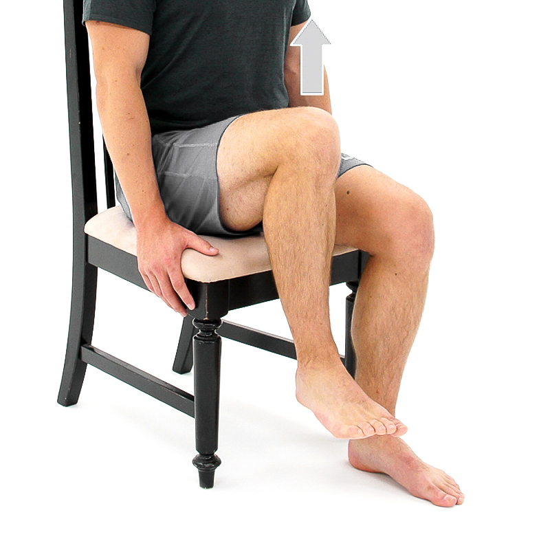 Seated Hip Flexion Marches Seated Hip Flexion Marches